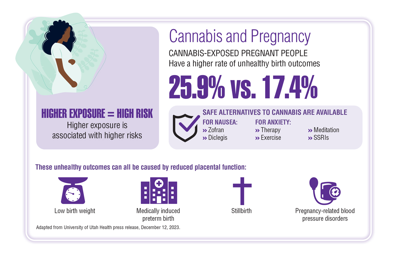 Infographic detailing data concerning cannabis use and pregnancy.