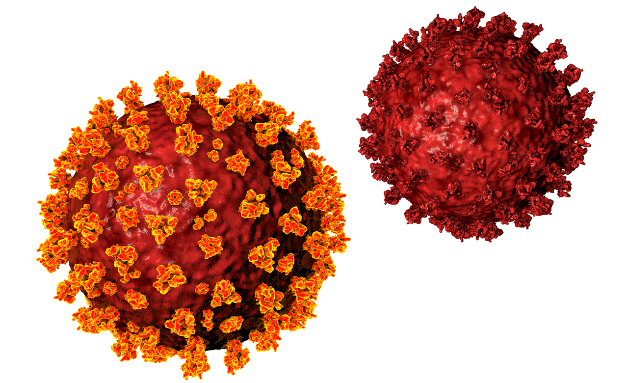 COVID-19 virus molecules