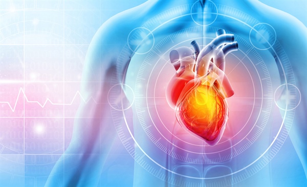 Updated chronic coronary disease guidelines factor in new drug therapies