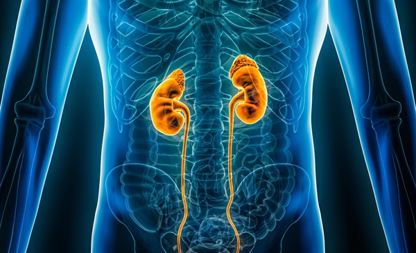 Cystatin C eGFR studies uncover undetected kidney disease