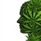 Cannabis could help manage symptoms of some neurological conditions