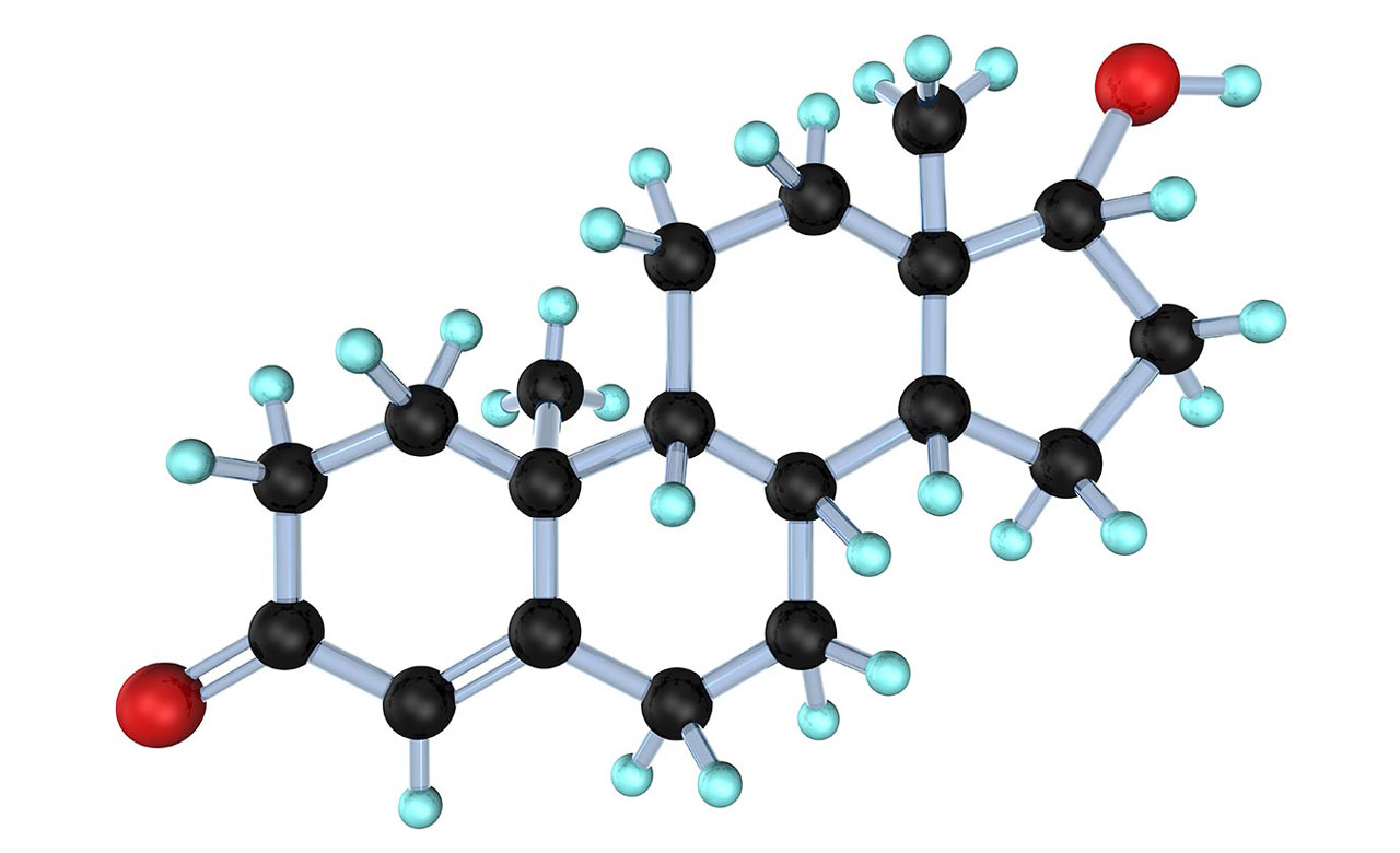 3-D model of testosterone molecule