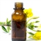 Evening primrose oil