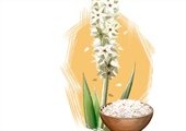 Psyllium husk