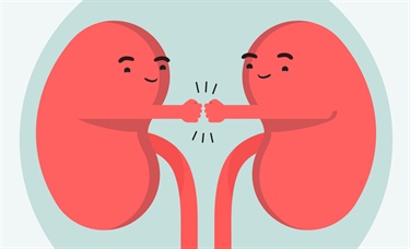 Race and BSA may be arbitrary consideration in renal prediction