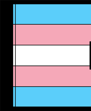 A trans and nonbinary patient perspective on receiving optimal health care
