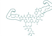 Study could renew recommendations for vancomycin dosing and monitoring goals in critically ill patients