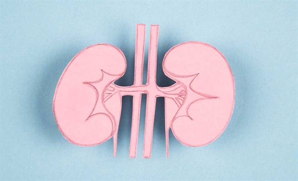 What changed and what stayed the same for diabetes management in CKD?