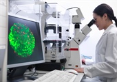 New stem cell product answers unmet need for cancer patients without bone marrow match