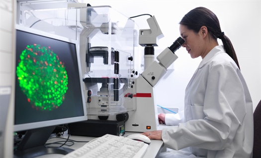 New stem cell product answers unmet need for cancer patients without bone marrow match