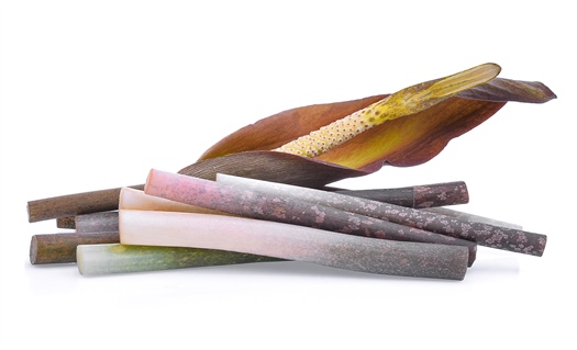 Glucomannan and weight loss