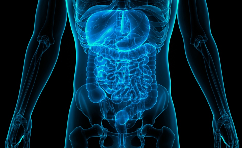 Gastroenterology