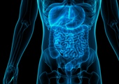Gastroenterology