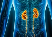 Cystatin C eGFR studies uncover undetected kidney disease