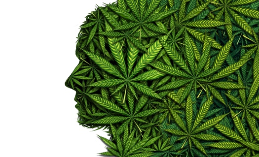 Cannabis could help manage symptoms of some neurological conditions