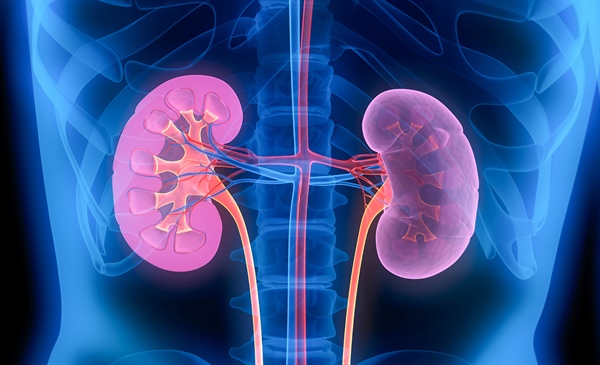 Novel tool for vancomycin dosing could provide multiple benefits
