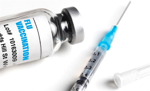 Trivalent flu vaccines recommended for next season