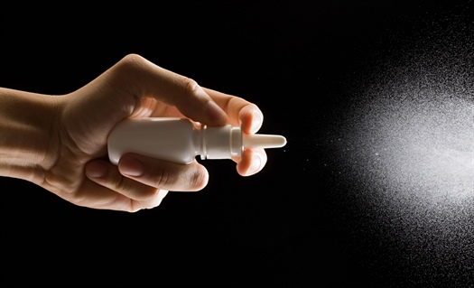 Spray those allergy symptoms away