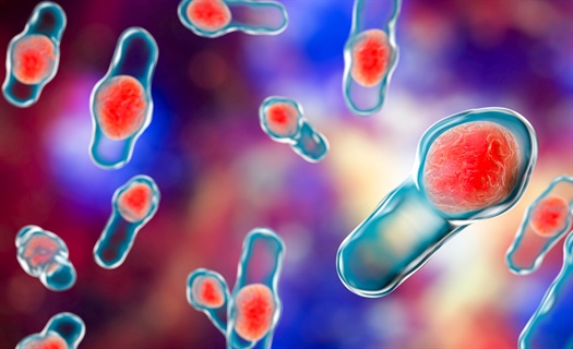 IDSA and ACG release C. difficile guidelines