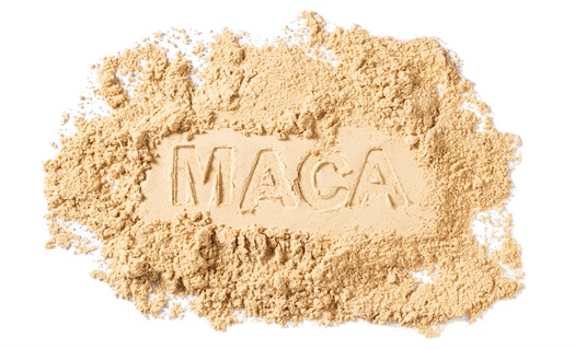 Maca’s therapeutic effects