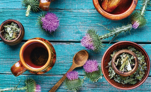 Milk thistle for liver disease