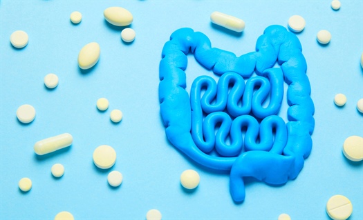 Are synbiotic supplements all they claim to be?