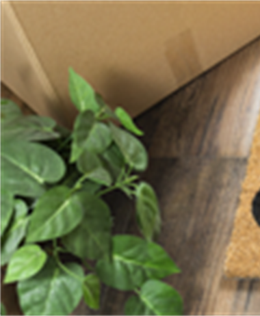 Considerations for renting versus buying a home