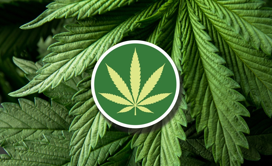 Your cannabis questions answered