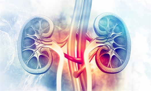 Short course of antibiotics may be enough for kids with pyelonephritis