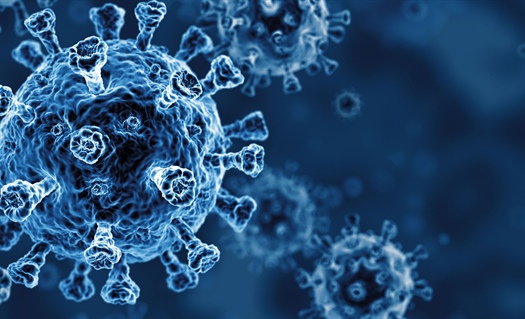 Pharmacy’s journey during the COVID-19 pandemic