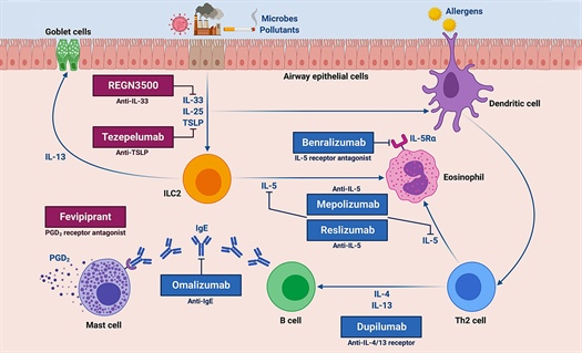 FDA approves new medication for asthma