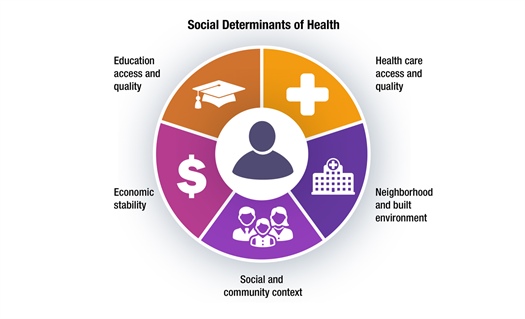 Resources available to help pharmacists navigate social determinants of health for patients