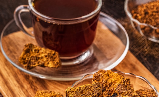 Chaga: Mushroom for improvement