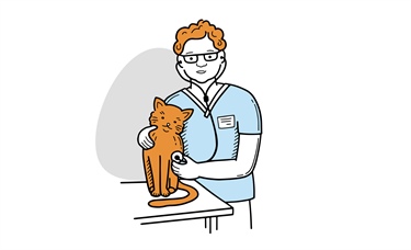 Researchers identify high-risk medications and errors in veterinary care