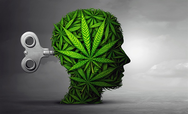 AHA’s new statement focuses on cannabis and brain health