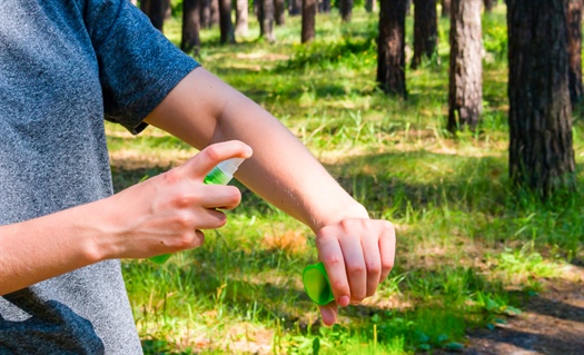 Insect repellents: To DEET or not to DEET