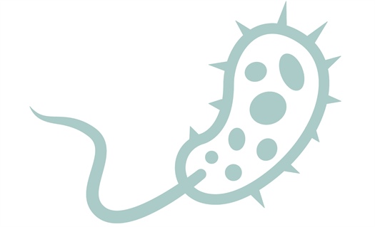 Study quantifies how much ID pharmacists influence antimicrobial therapy decisions