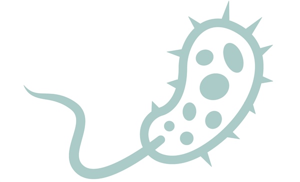 Study quantifies how much ID pharmacists influence antimicrobial therapy decisions