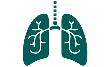 Experts recommend tailored inhaled therapy for stable COPD