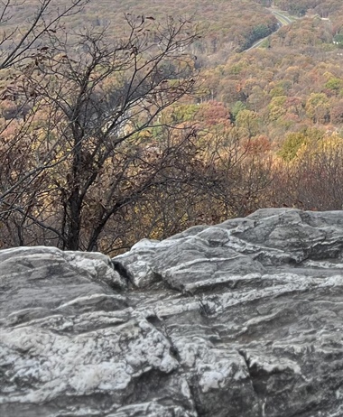 My routine of mindfulness and meaningful activities