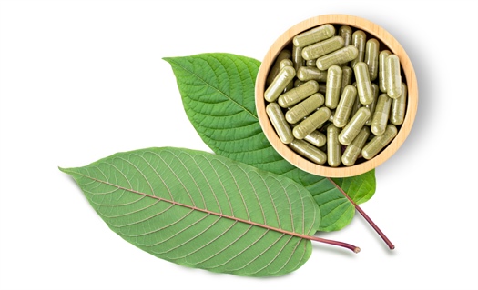 Kratom’s potential and pitfalls