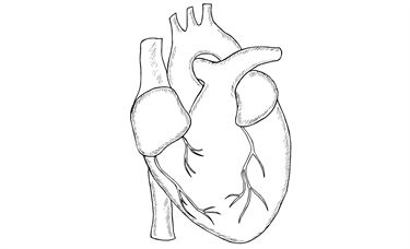 Pericarditis revisited: ACC updates diagnosis and treatment framework