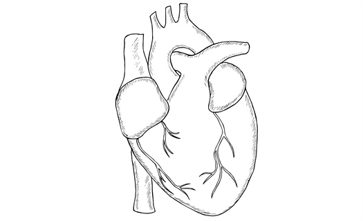 Pericarditis revisited: ACC updates diagnosis and treatment framework