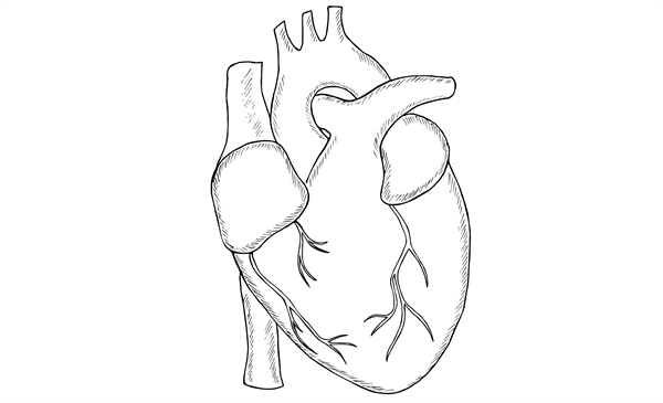 Pericarditis revisited: ACC updates diagnosis and treatment framework