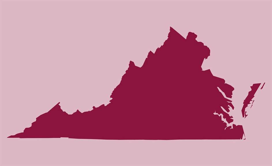 Pharmacists in Virginia are ready to bill, given clear pathway