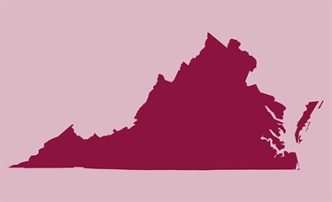 Pharmacists in Virginia are ready to bill, given clear pathway