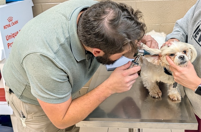 A well-rounded pharmacist: Veterinary medicine and community pharmacy