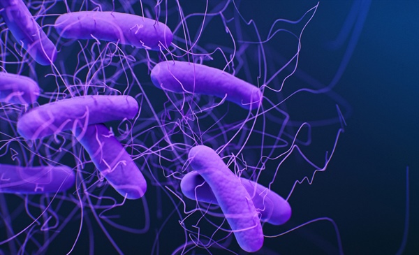 Antibiotics show no benefit in viral-positive pneumonia hospitalizations
