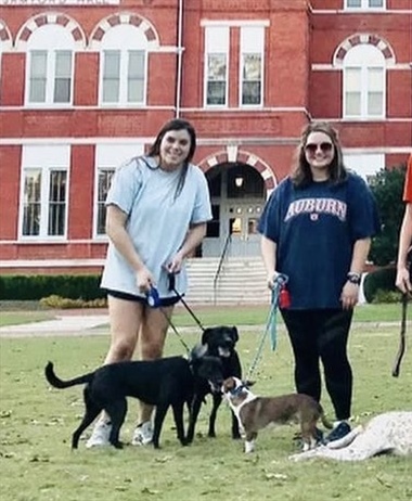 Auburn University’s commitment to wellness