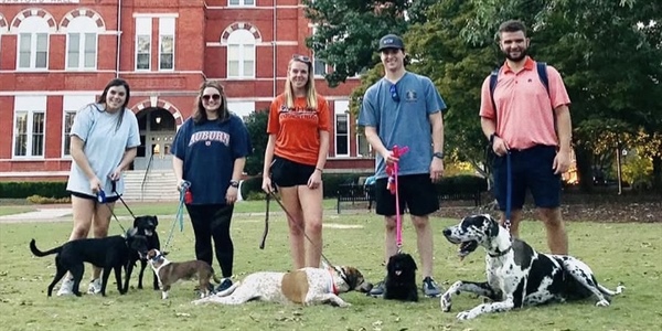 Auburn University’s commitment to wellness